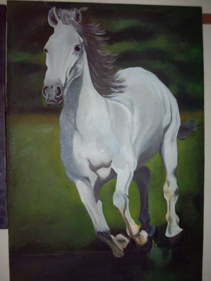 corcel blanco Oil Canvas Animals