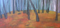 el bosque de Maruxa