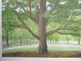 parque
