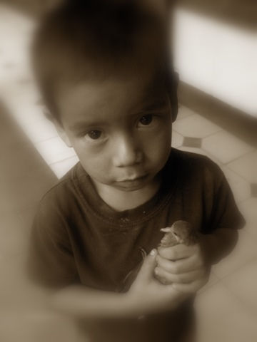 niño salvadoreño.