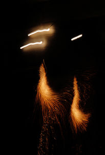 Correfoc