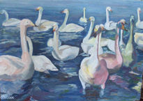 Cisnes