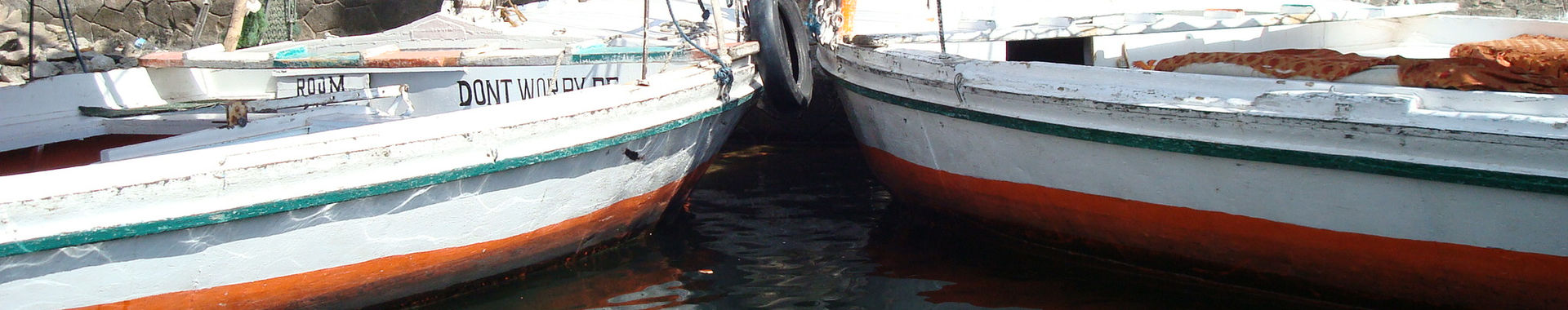 Imagen de portada