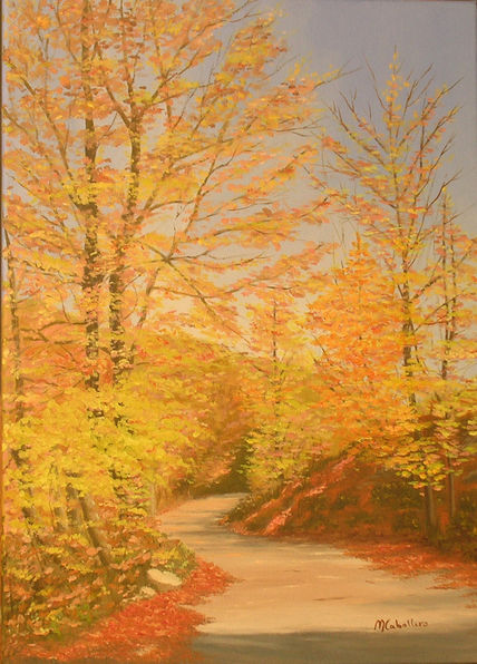 Otoño en camprodon