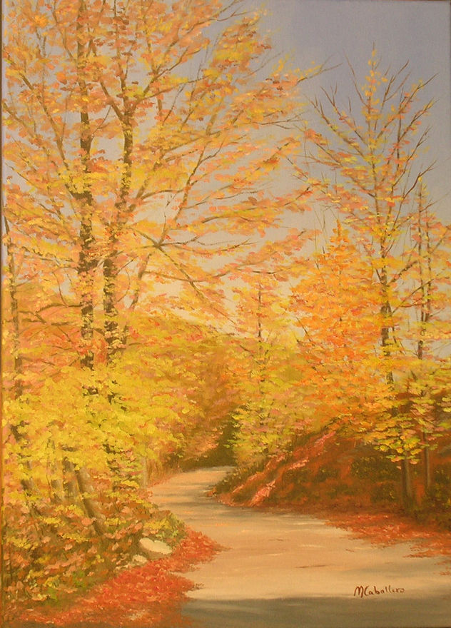otoño en camprodon