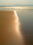 REFLEJOS