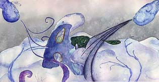 nieve