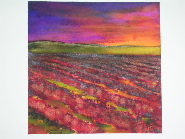 campo 1