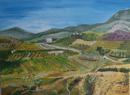 Campos Provenza