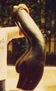 torso negro