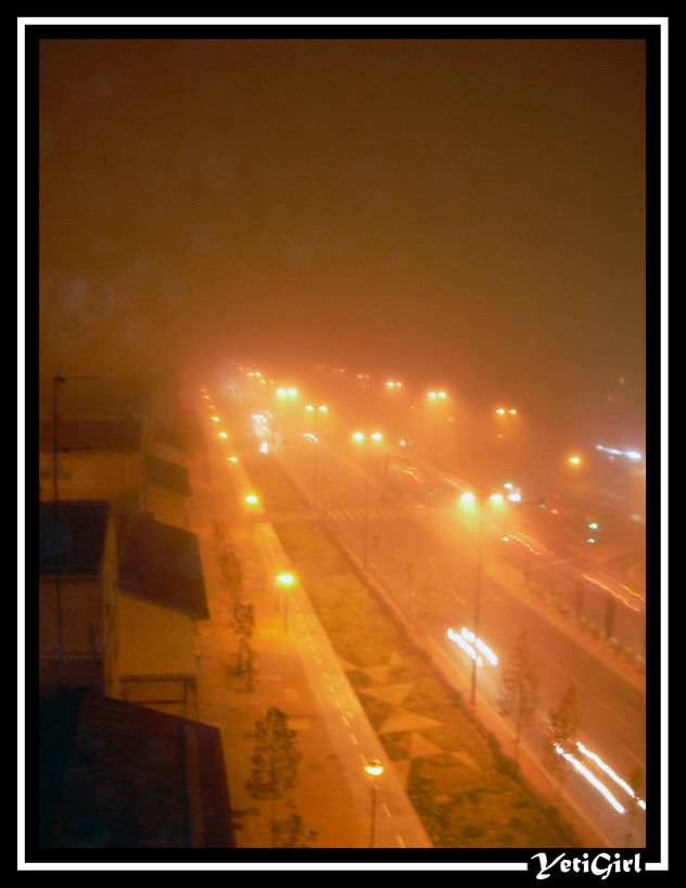 niebla nocturna