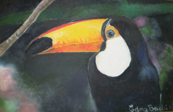 TUCANO