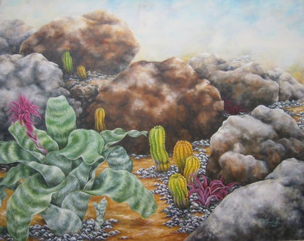 Comp. Aechmea y cactus