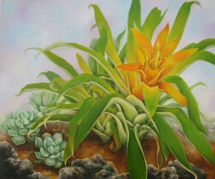 Guzmania
