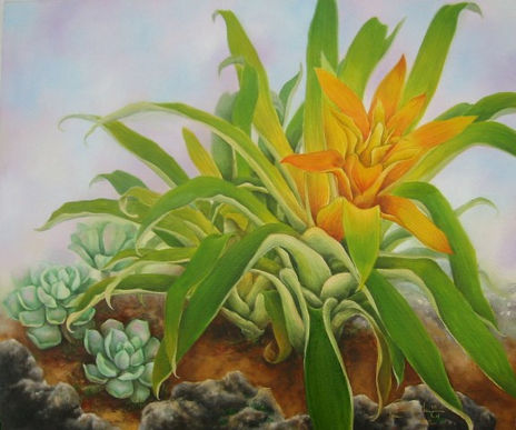 Guzmania