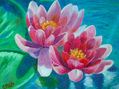 nenufares en rosa