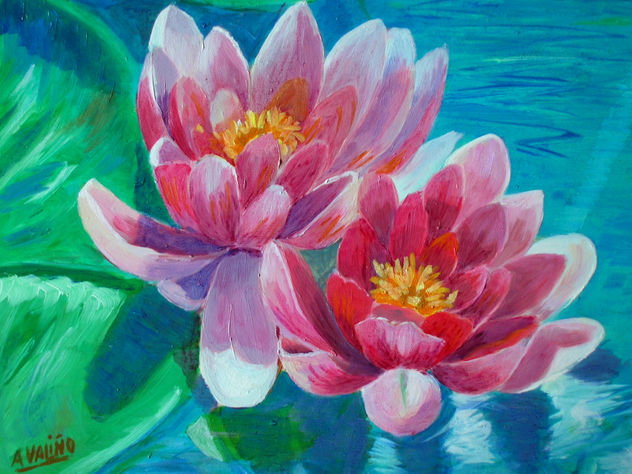 nenufares en rosa