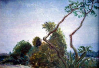 Paisaje 7