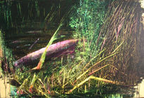 Abstracion de los...