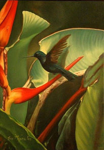 Colibri