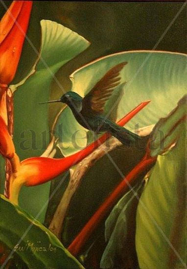 COLIBRI Oil Canvas Animals