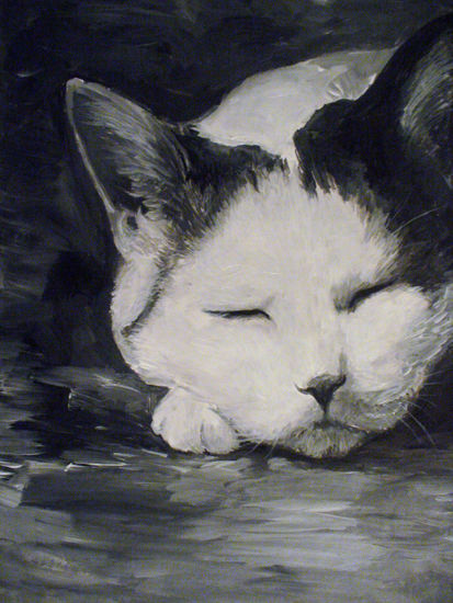 gato durmiendo Acrylic Paper Landscaping