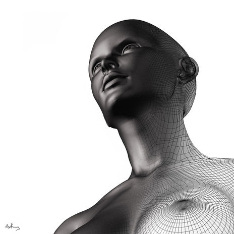 Wire lady