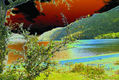lago falkner solarizado