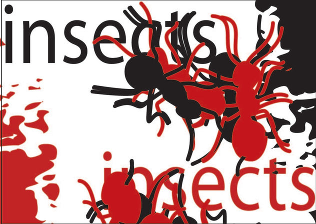 INSECTS