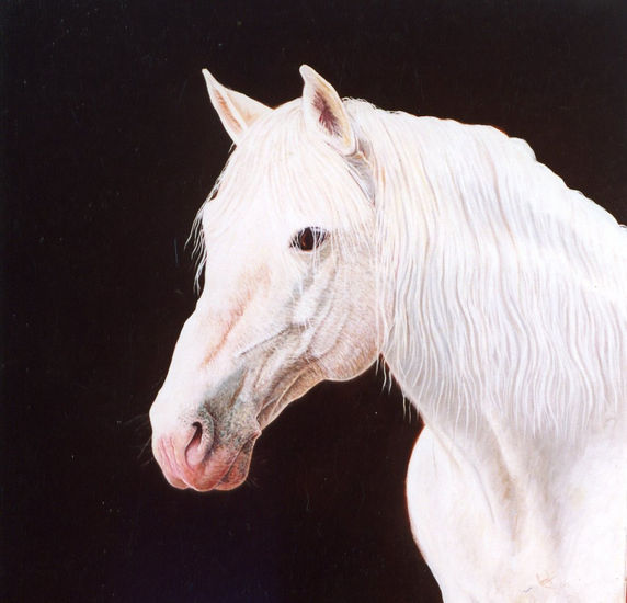 Caballo blanco Óleo Lienzo Animales