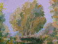arbres de la garrotxa