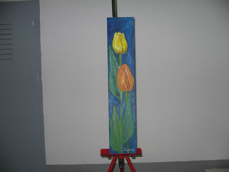 Tulipanes