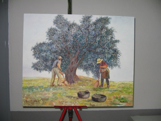 Recolectores de aceitunas