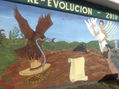 RE-EVOLUCION