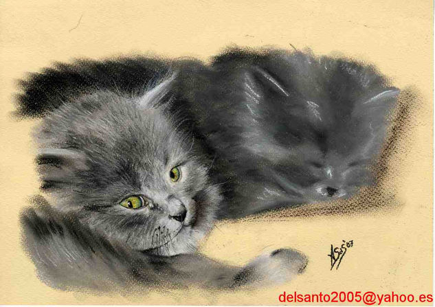 Gatitos Pastel Papel Animales