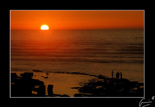 Pescando al atardecer 