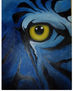 Ojo Azul