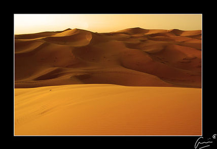 Desert