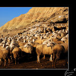 Paisajes thumbnail 2