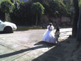 fiesta