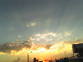 sunshine