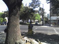 sola en la gran ciudad