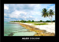 The Beach