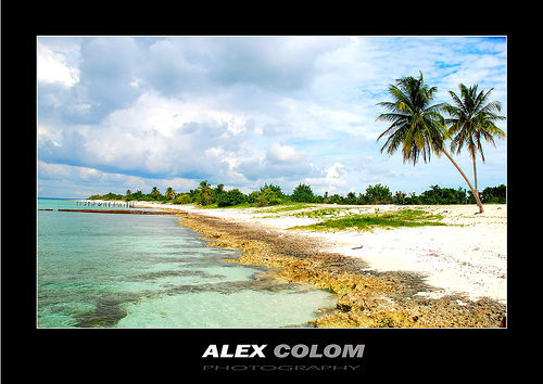 The Beach