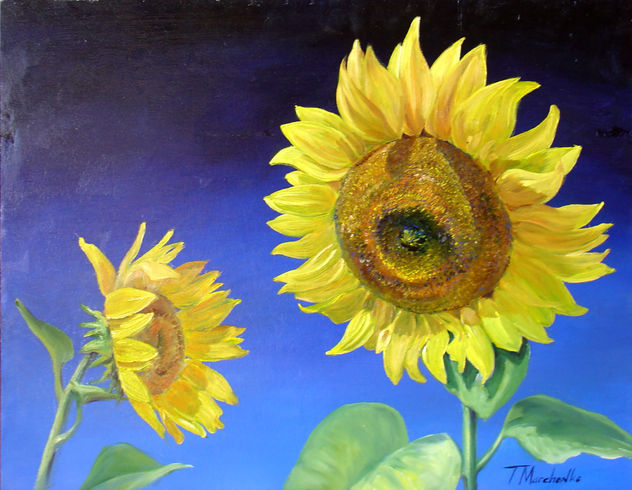Girasoles