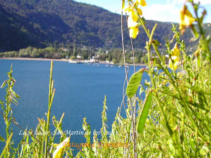 Lago lacar entre...