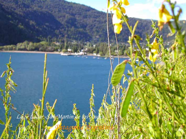 Lago lacar entre las flores 