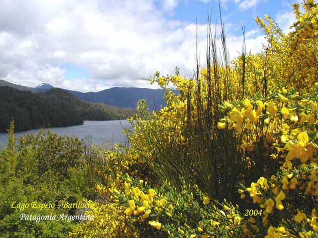 Lago espejo-Precordillera de los andes 