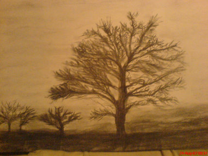 Arboles
