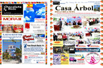 Revista casa arbol